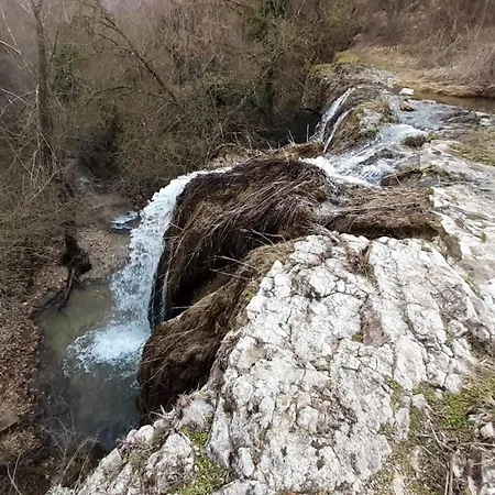Resela